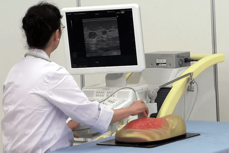 Ultraschalluntersuchungsphantom - Brust - Erler - Zimmer